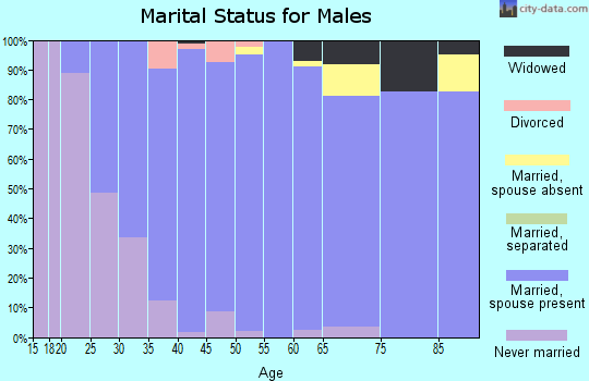 Zip code 68133 marital status for males