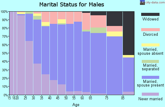 Zip code 68137 marital status for males
