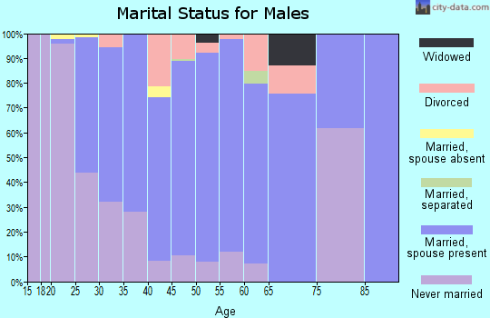Zip code 68138 marital status for males