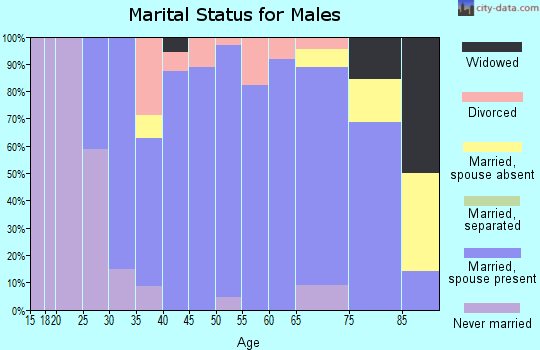 Zip code 68301 marital status for males