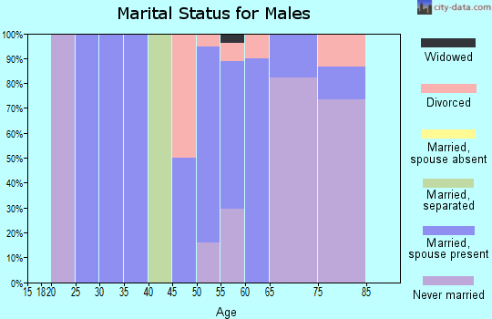 Zip code 68304 marital status for males