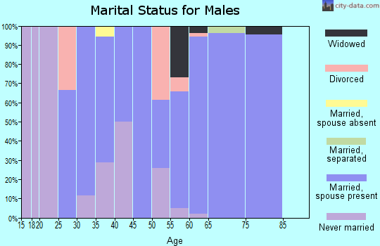 Zip code 68313 marital status for males