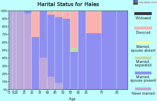 Zip code 68316 marital status for males