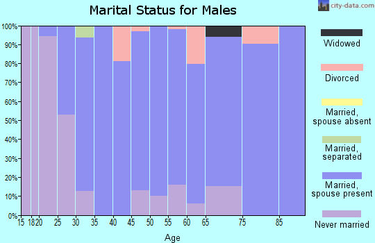 Zip code 68317 marital status for males