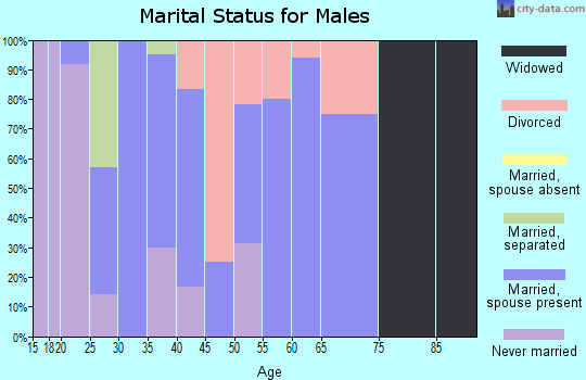 Zip code 68328 marital status for males