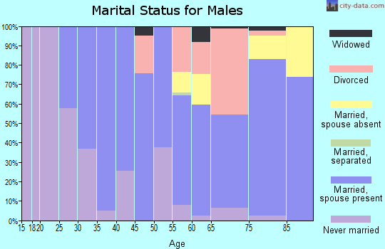 Zip code 68333 marital status for males