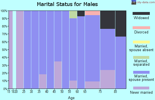 Zip code 68335 marital status for males