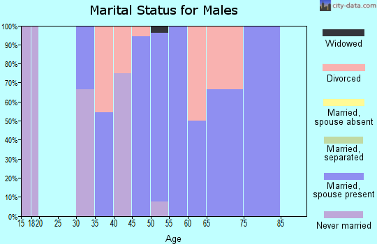 Zip code 68336 marital status for males
