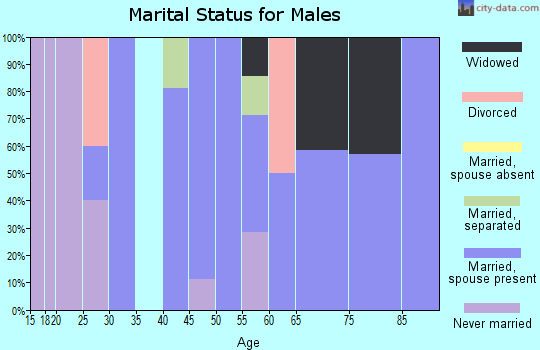 Zip code 68337 marital status for males