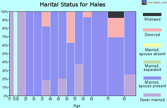 Zip code 68338 marital status for males