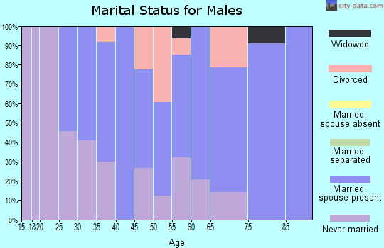 Zip code 68343 marital status for males