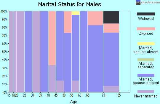 Zip code 68345 marital status for males