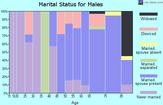 Zip code 68354 marital status for males