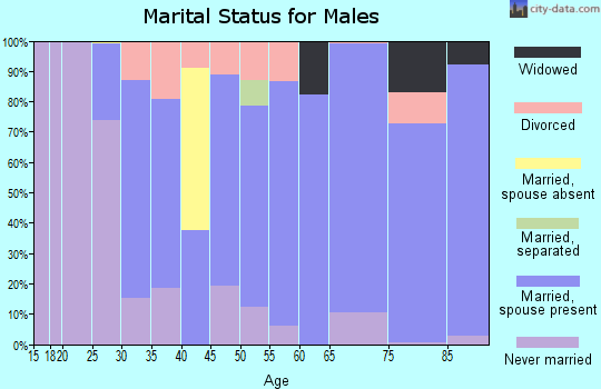 Zip code 68355 marital status for males