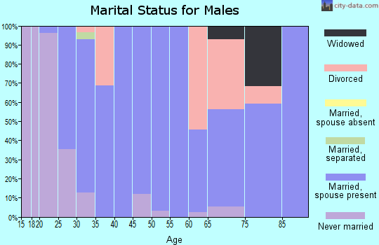 Zip code 68358 marital status for males