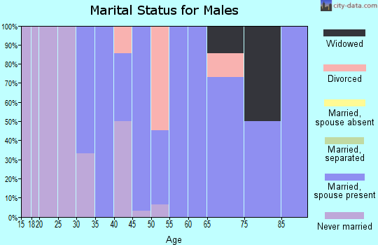Zip code 68360 marital status for males