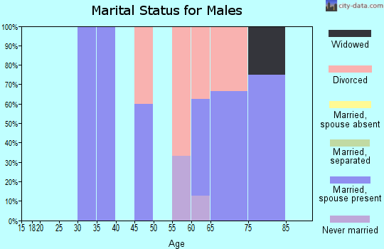 Zip code 68364 marital status for males