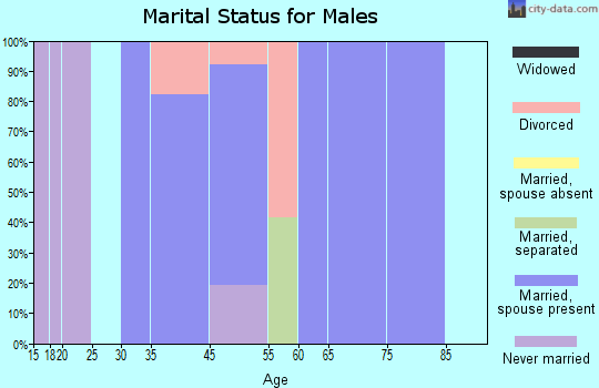Zip code 68374 marital status for males