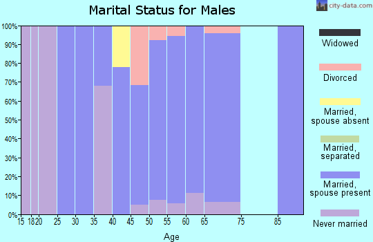 Zip code 68377 marital status for males