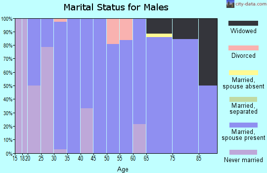 Zip code 68378 marital status for males