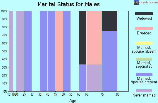 Zip code 68380 marital status for males