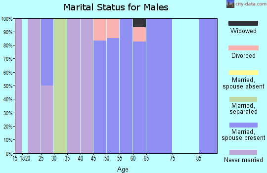 Zip code 68381 marital status for males