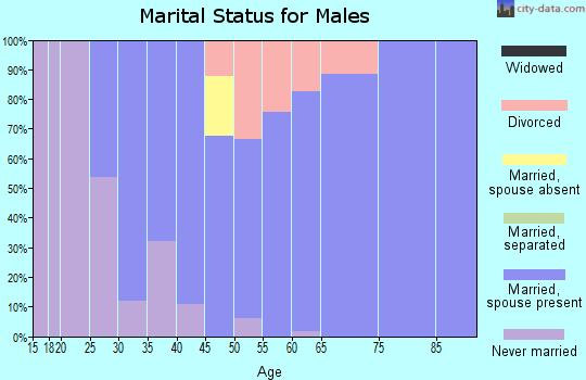 Zip code 68402 marital status for males
