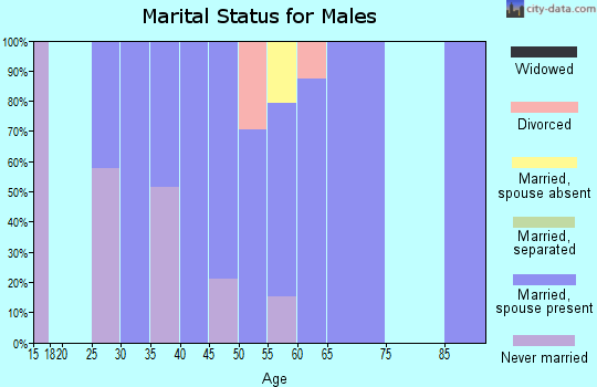 Zip code 68404 marital status for males