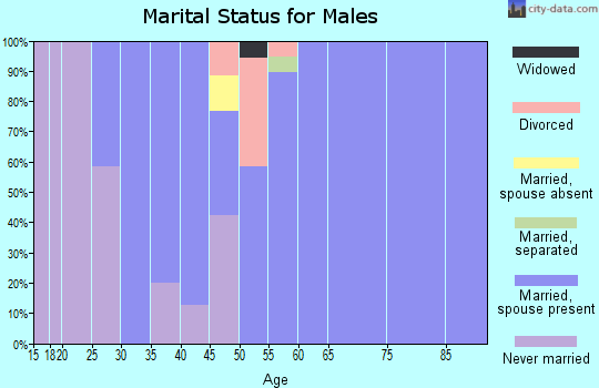 Zip code 68406 marital status for males