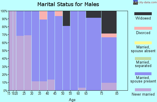 Zip code 68407 marital status for males