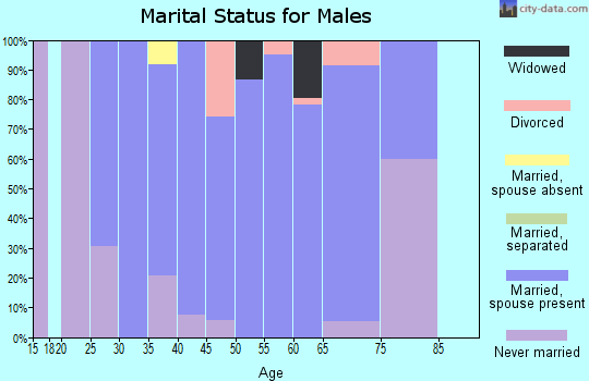 Zip code 68409 marital status for males