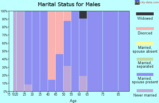 Zip code 68419 marital status for males