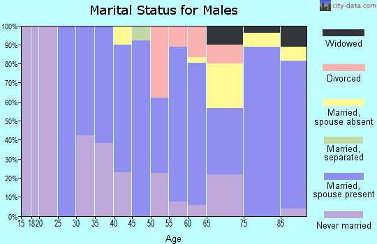 Zip code 68420 marital status for males