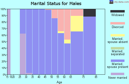 Zip code 68428 marital status for males