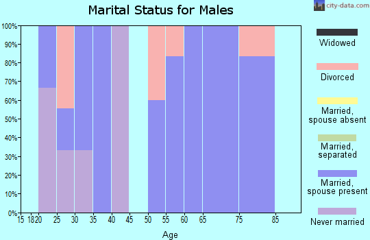 Zip code 68437 marital status for males