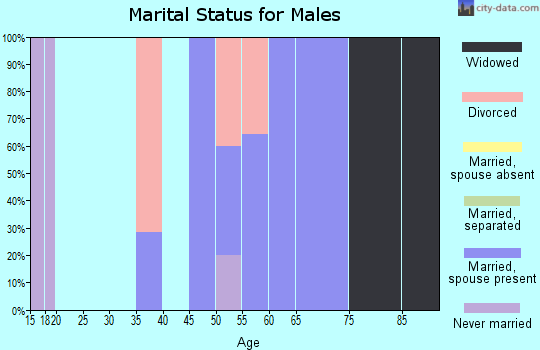 Zip code 68452 marital status for males