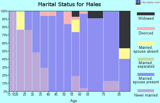 Zip code 68456 marital status for males