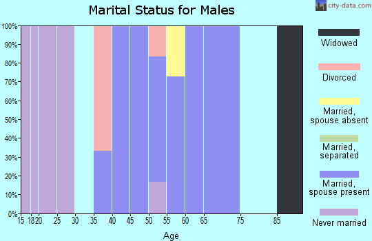 Zip code 68458 marital status for males