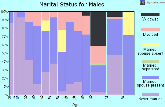 Zip code 68465 marital status for males