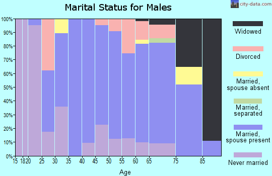 Zip code 68466 marital status for males