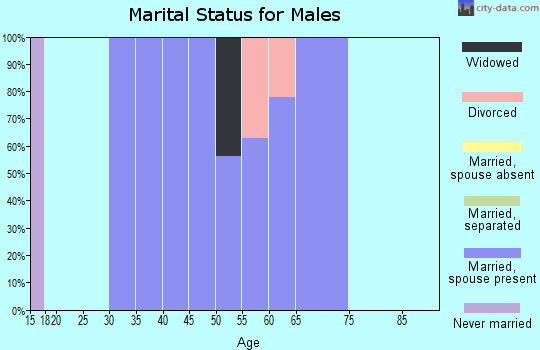 Zip code 68532 marital status for males