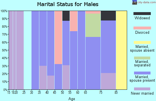 Zip code 68626 marital status for males