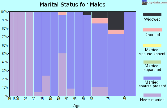 Zip code 68628 marital status for males