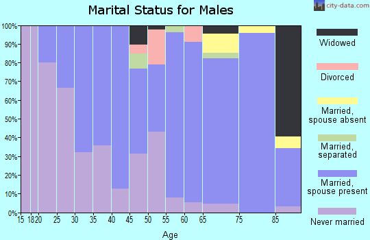 Zip code 68633 marital status for males