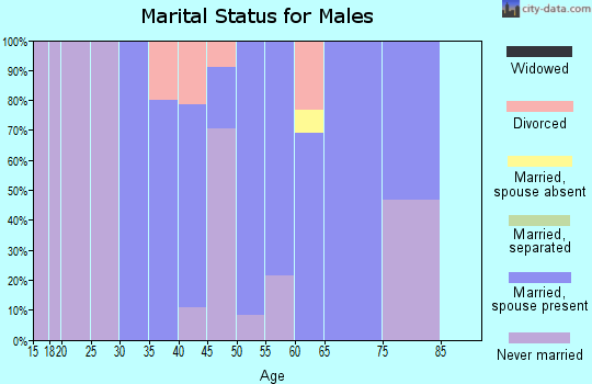 Zip code 68635 marital status for males