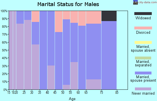 Zip code 68647 marital status for males