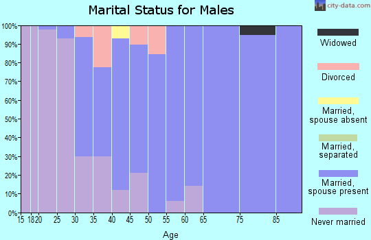 Zip code 68653 marital status for males