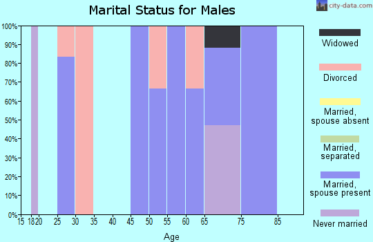 Zip code 68659 marital status for males