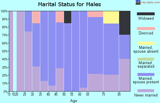 Zip code 68665 marital status for males