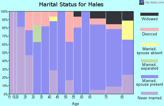 Zip code 68666 marital status for males